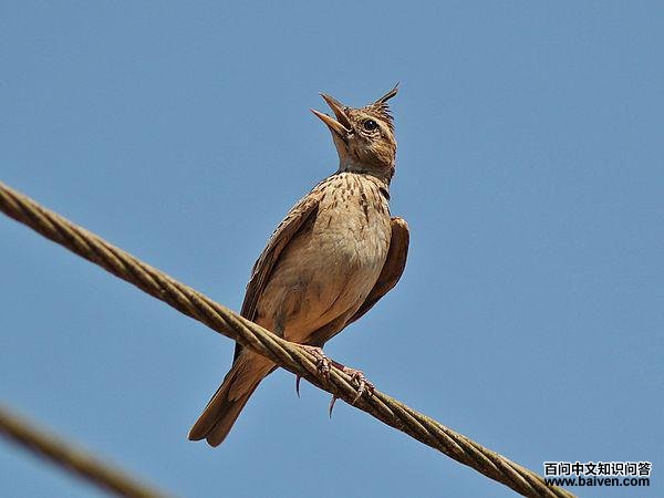 �����ͷ�ͷ�����ͼƬ