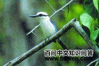 ���˵�����ͼƬ