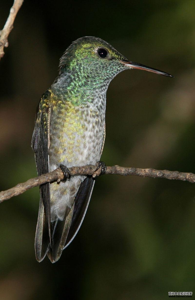 �����������ͼƬ