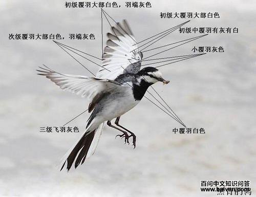 �ڱ����n�_������ʱ������ɫ