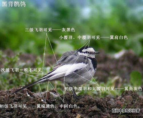 �ڱ����n�_��