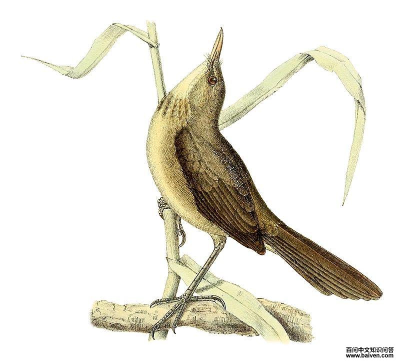 ��������έݺ��ͼƬ