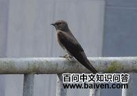 ����ԭ��