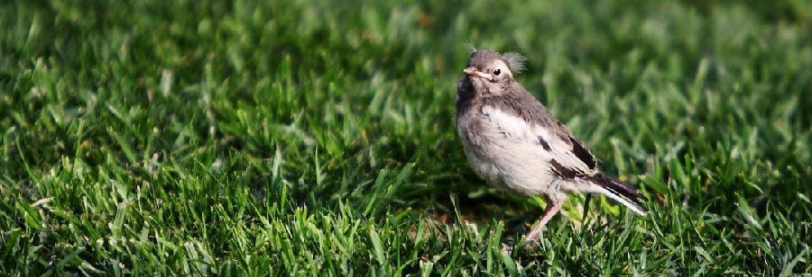 ���n�_����