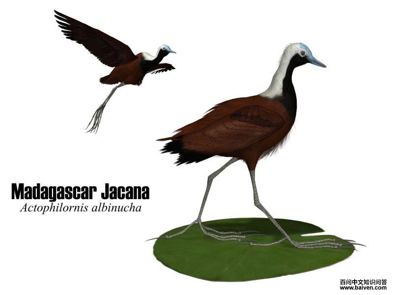 ����ˮ��