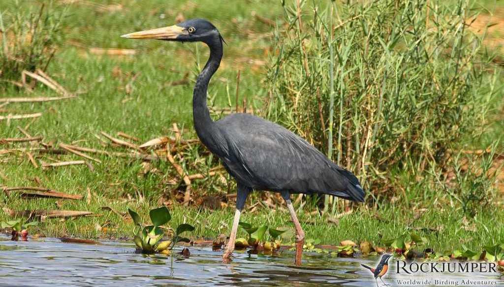 �����ص�ͼƬ