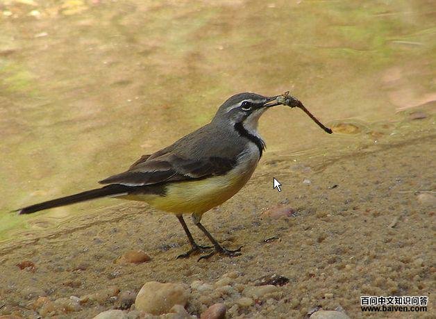 �����n�_