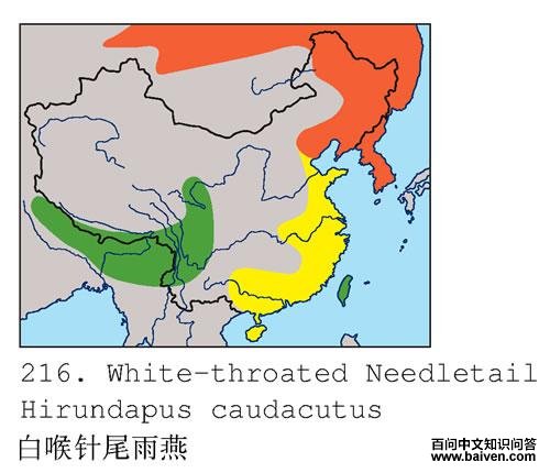 �׺���β����