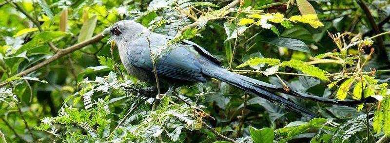 ����ؾ��ͼƬ