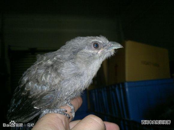 ����ؾ����