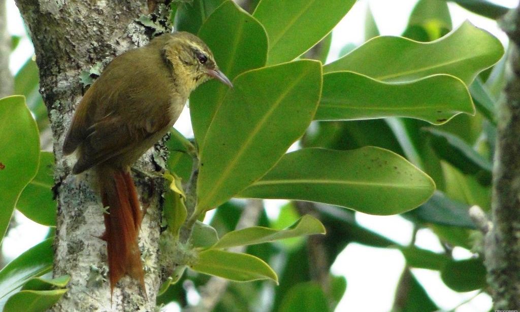 ����βȸ��ͼƬ