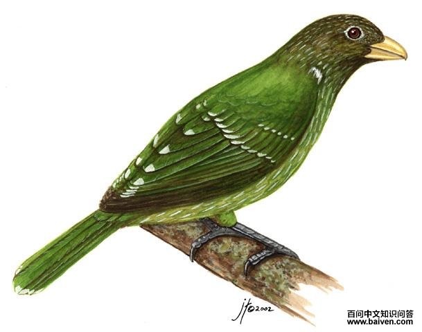 ��԰������̬����ͼ