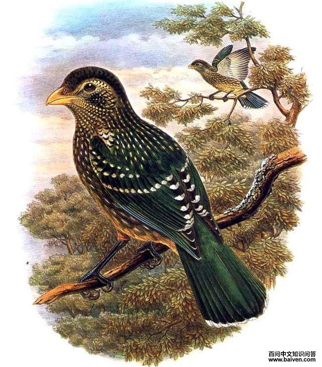 ��԰������̬����ͼ