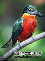 �ظ����㹷