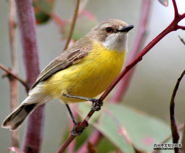 �׺����ݺ��ͼƬ