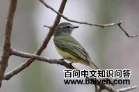 �������l