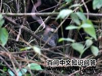 �׺�����ͼƬ