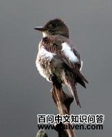 ��в�̰��l