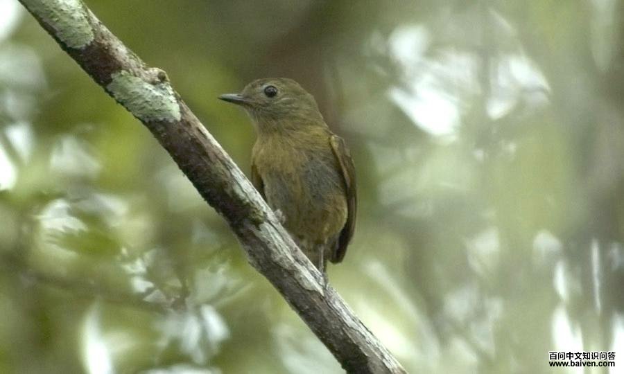 ��ϣ����l