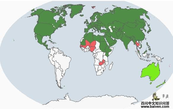 ��ͷѼ����ֲ�ͼ