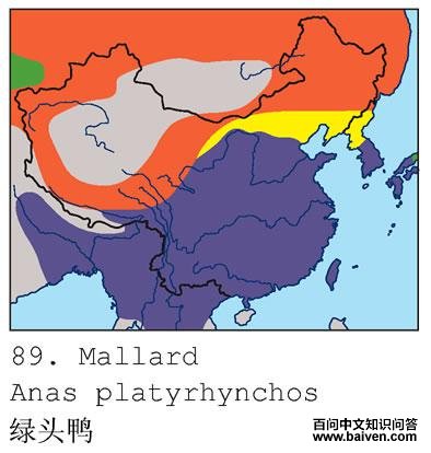 ��ͷѼ�й��ֲ�ͼ