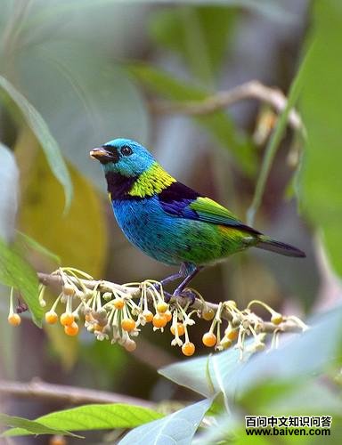 ��ͷ�Ƽ���ȸ