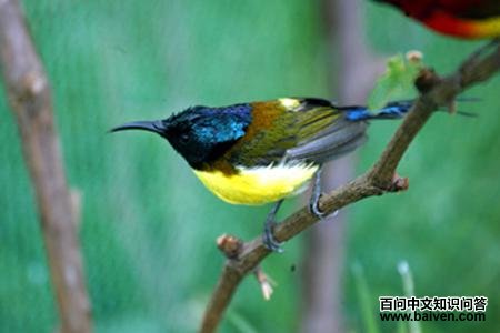 �̺�̫����