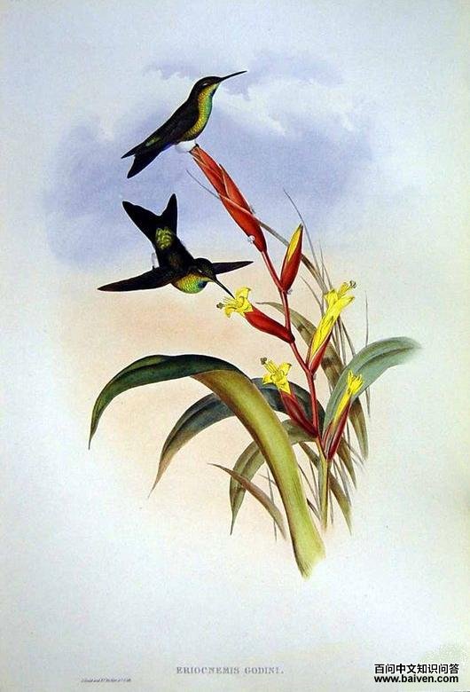 �̺�ë�ȷ����ͼƬ