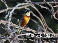 �̹����ش���