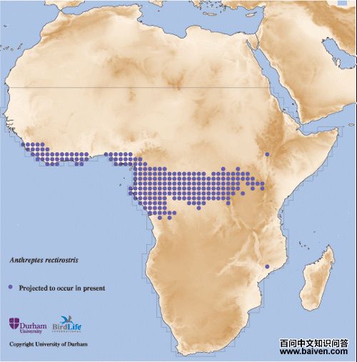 ��ʳ����