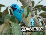 ��ɡ���ͼƬ