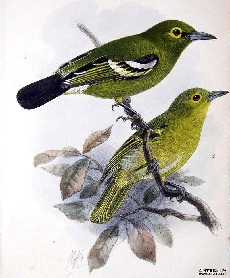 ��ȸ�ǣ���̬����ͼ