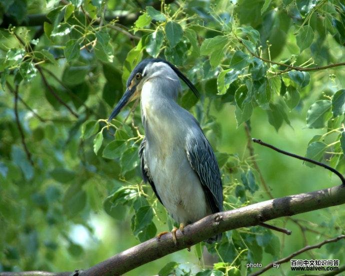 ������������Ӱ�������ӣ�