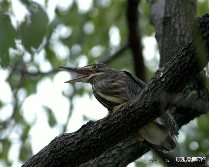 ������������Ӱ�������ӣ�