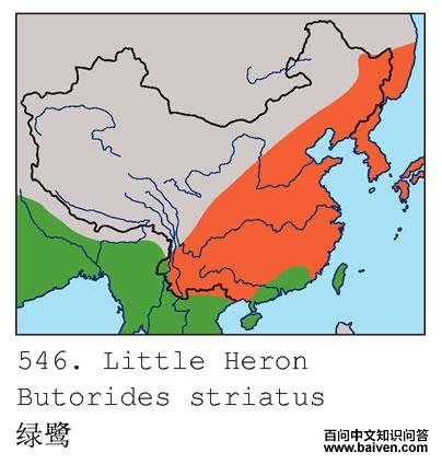 ���أ������ֲ�ͼ