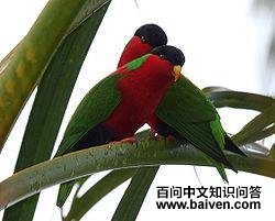 �����������ĵ�ͼƬ