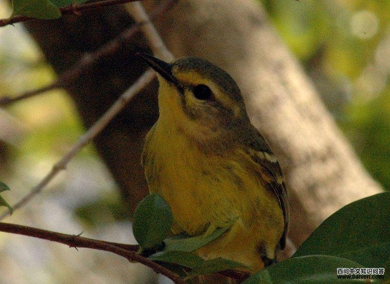 ����ݺ��ͼƬ