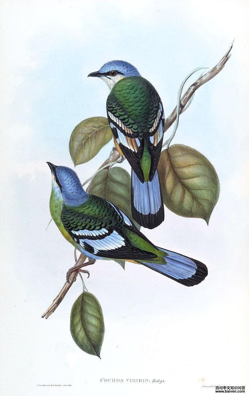 �̿���𴣺���������ϣ�