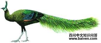 �̿�ȸ����̬����ͼ