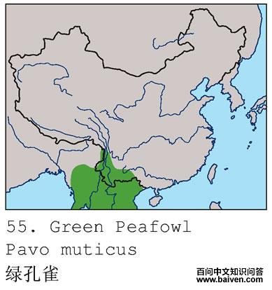 �̿�ȸ�������ֲ�ͼ