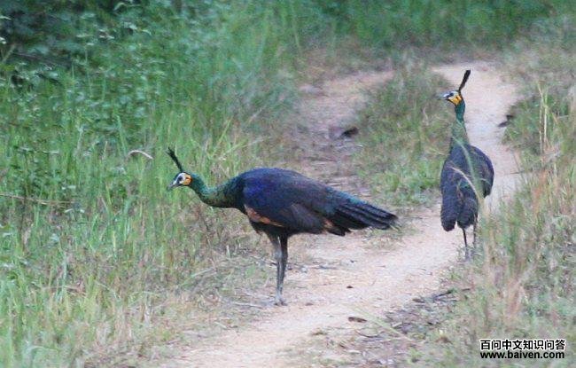 �̿�ȸ������