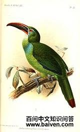 ���Ͼ�����