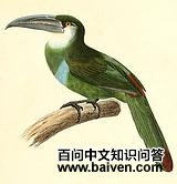 ���߾�����