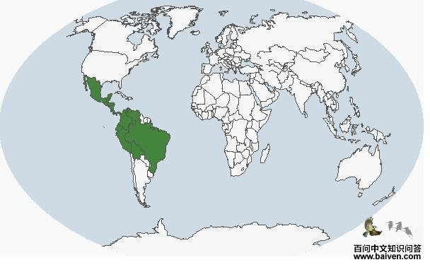 �̾�����