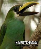 �̾�����