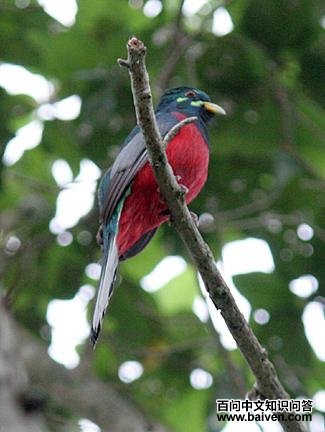 �̼շ���ҧ���ͼƬ