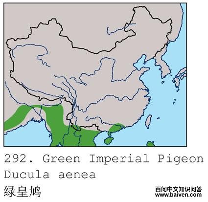 �̻�汎�����ֲ�ͼ