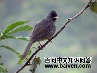 �̶̽��ǵ�ͼƬ