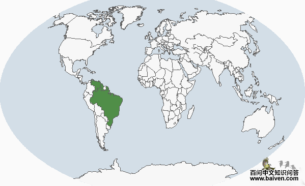 �̴��������