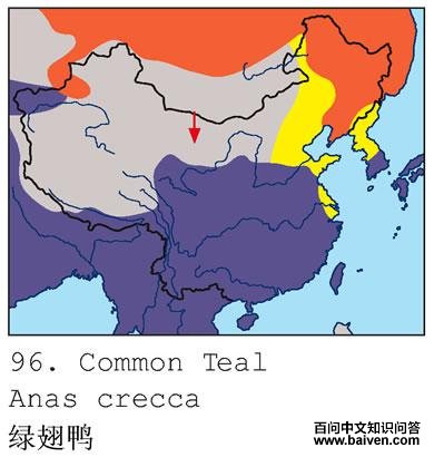 �̳�Ѽ�����ֲ�ͼ